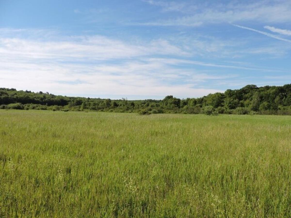 Picture of Residential Land For Sale in Ludlow, Massachusetts, United States