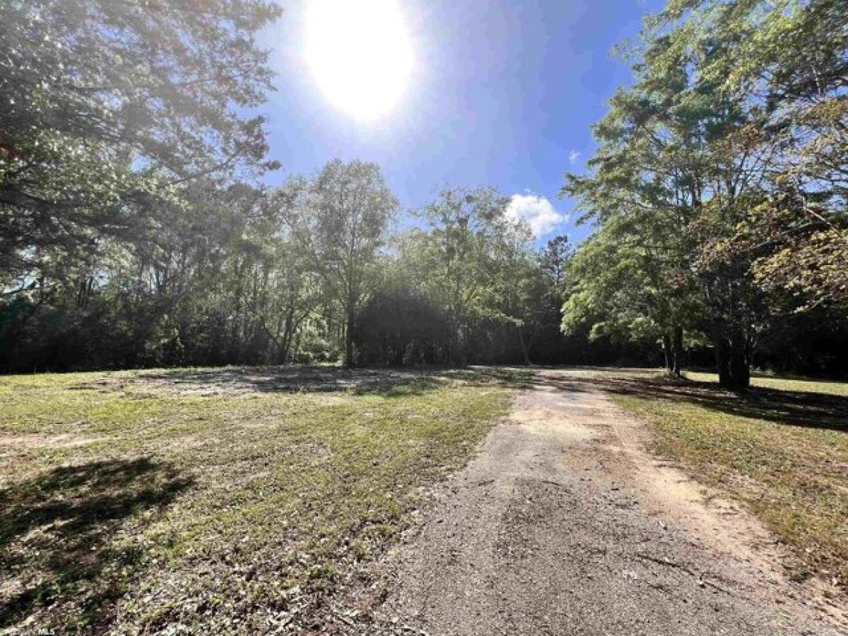 Picture of Residential Land For Sale in Bay Minette, Alabama, United States