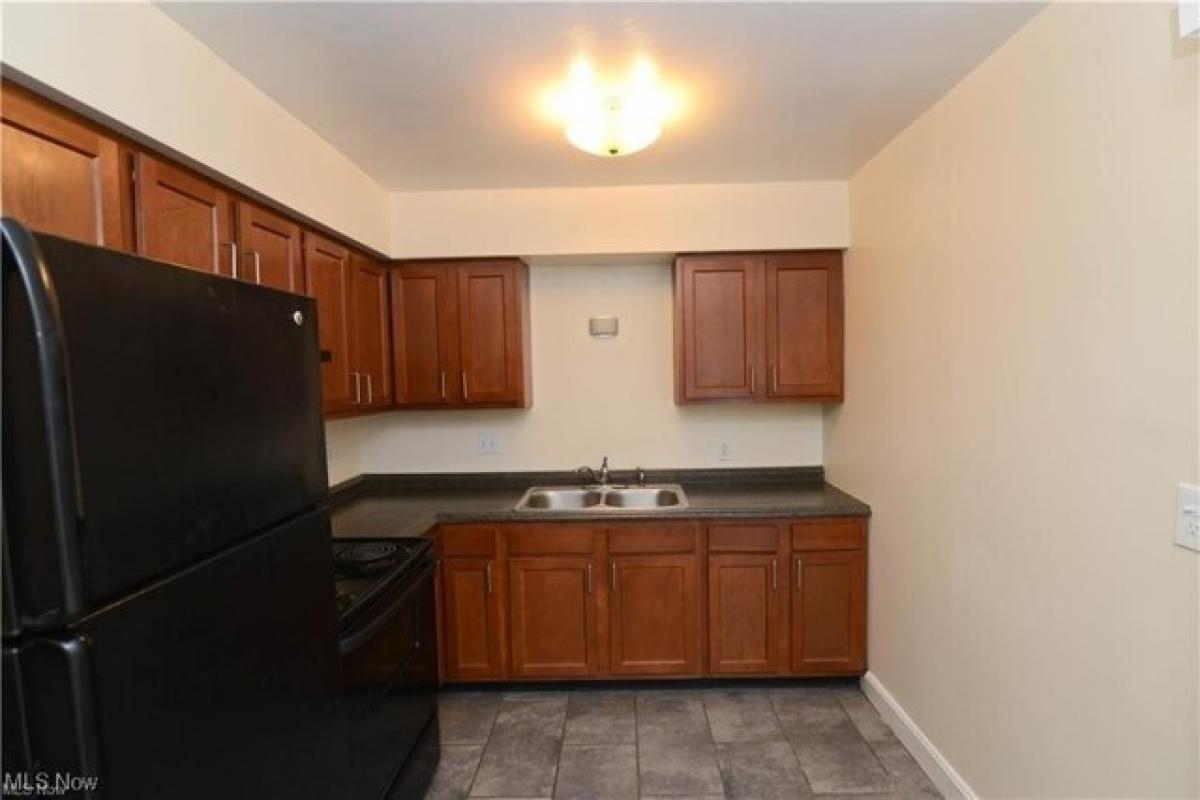 Picture of Apartment For Rent in Austintown, Ohio, United States