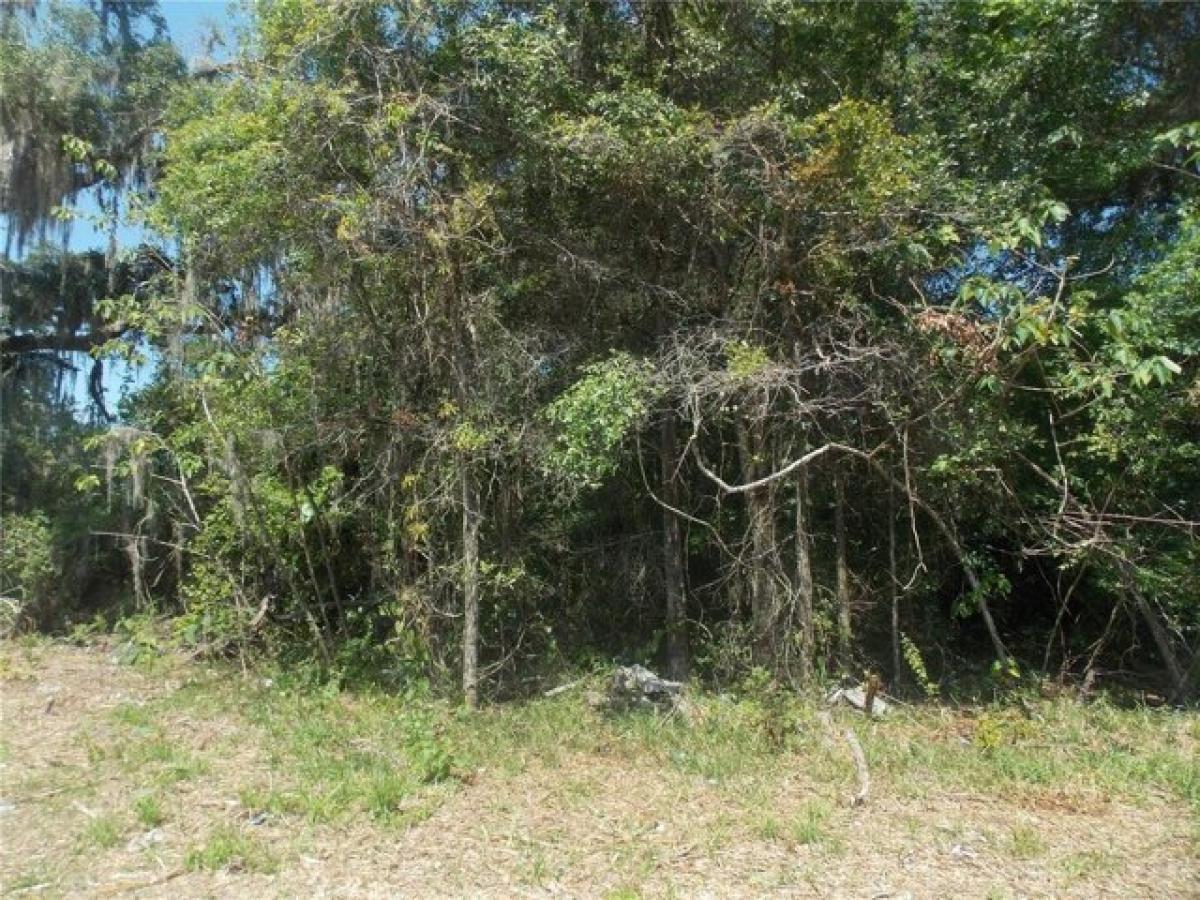 Picture of Residential Land For Sale in Coleman, Florida, United States