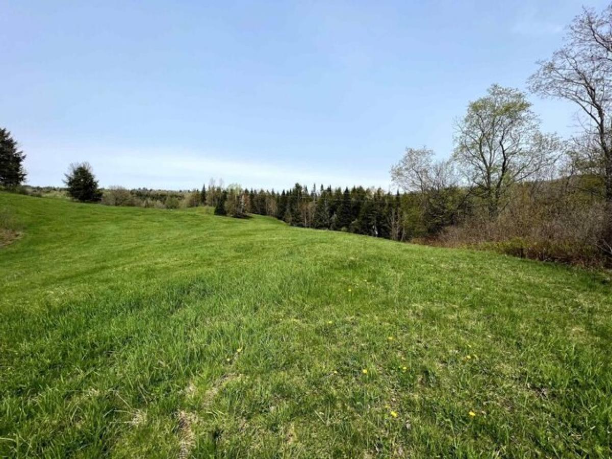 Picture of Residential Land For Sale in Coventry, Vermont, United States