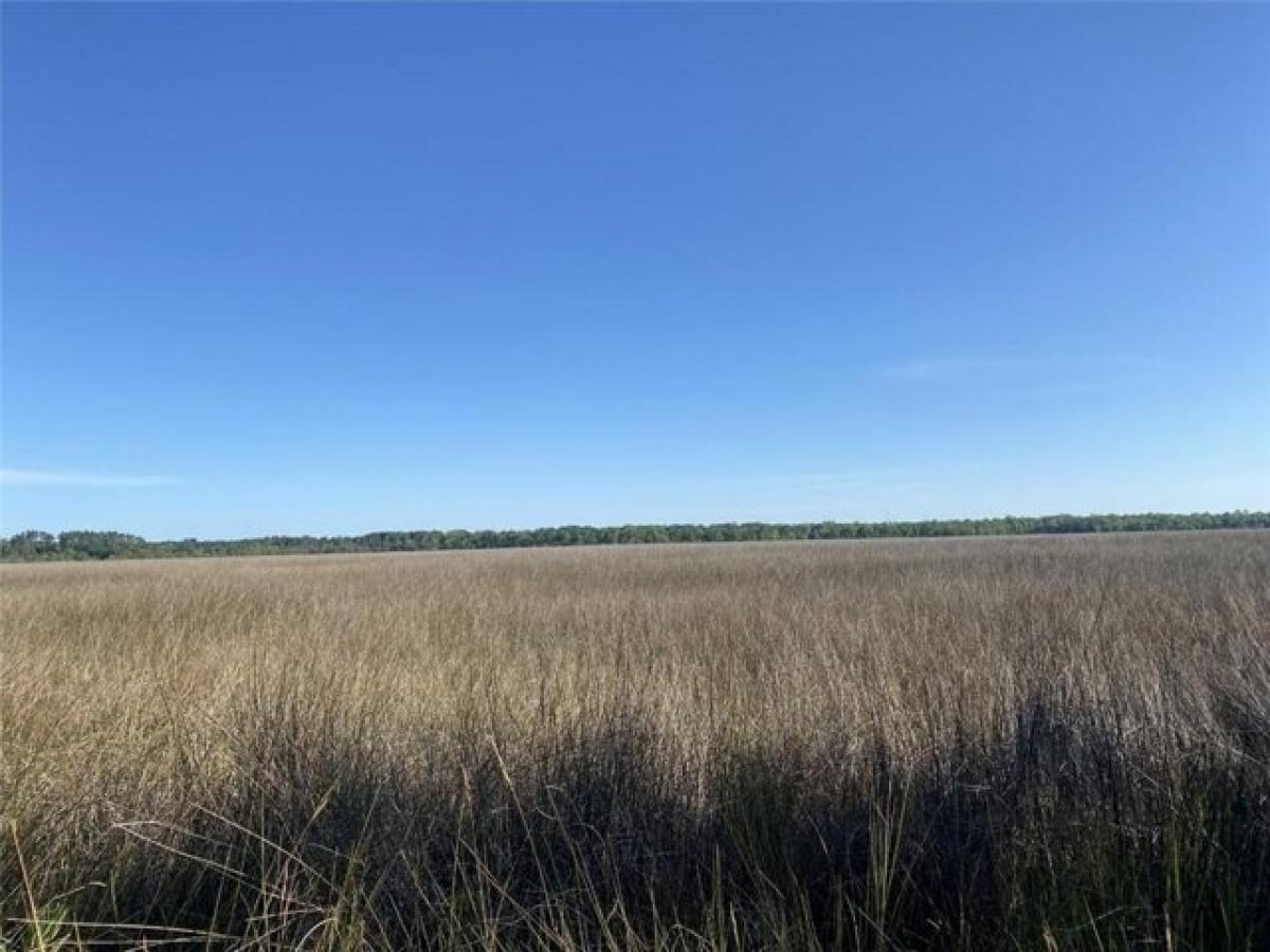 Picture of Residential Land For Sale in Brunswick, Georgia, United States