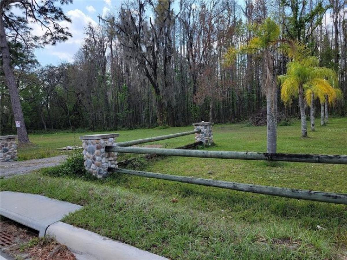 Picture of Residential Land For Sale in Land O Lakes, Florida, United States