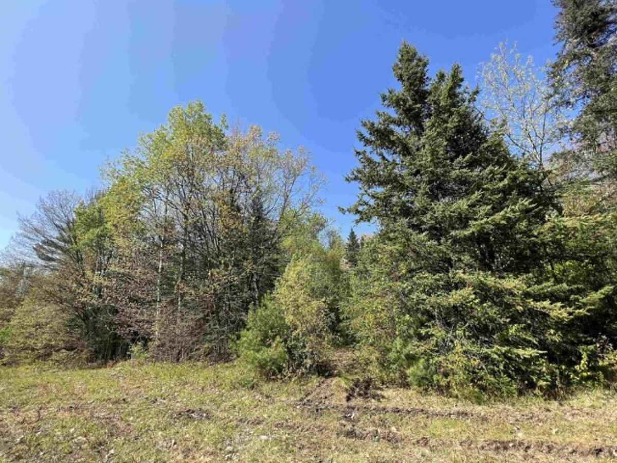 Picture of Residential Land For Sale in Dalton, New Hampshire, United States