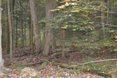 Residential Land For Sale in Becket, Massachusetts