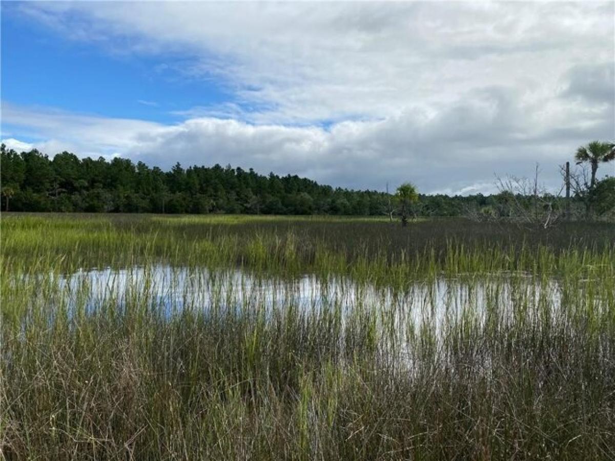 Picture of Residential Land For Sale in Brunswick, Georgia, United States