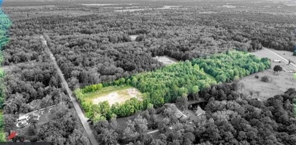 Picture of Residential Land For Sale in Elm Grove, Louisiana, United States