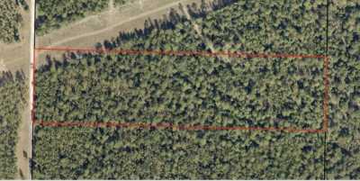 Residential Land For Sale in Holt, Florida