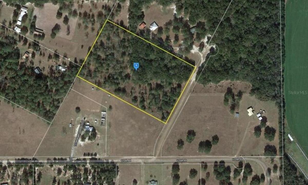 Picture of Residential Land For Sale in Mcalpin, Florida, United States