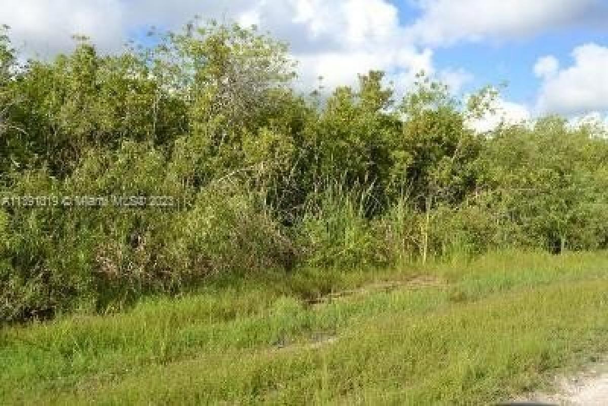 Picture of Residential Land For Sale in Homestead, Florida, United States