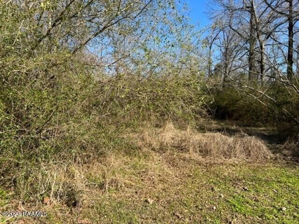 Picture of Residential Land For Sale in Opelousas, Louisiana, United States