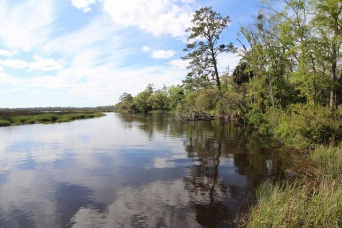 Picture of Residential Land For Sale in Brunswick, Georgia, United States