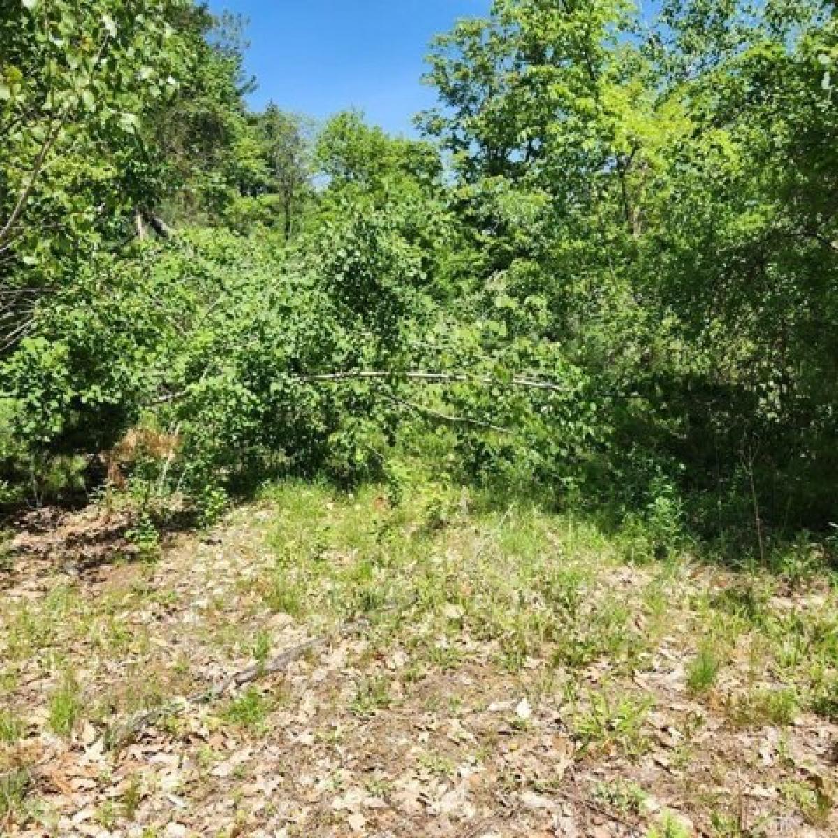 Picture of Residential Land For Sale in Pepperell, Massachusetts, United States