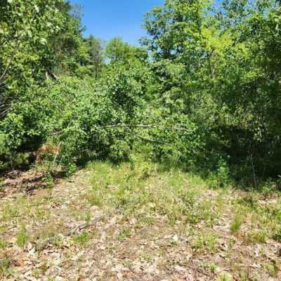 Residential Land For Sale in Pepperell, Massachusetts