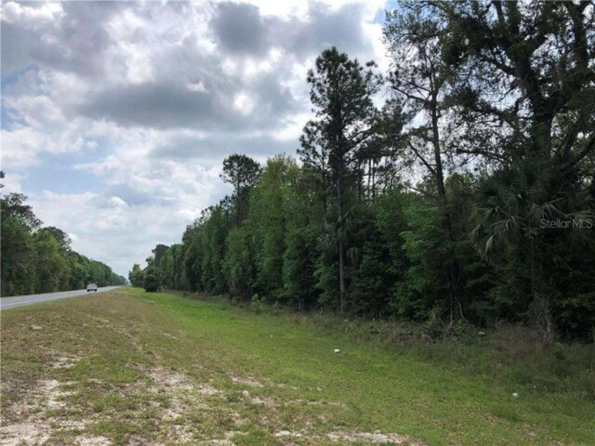 Picture of Residential Land For Sale in Inglis, Florida, United States