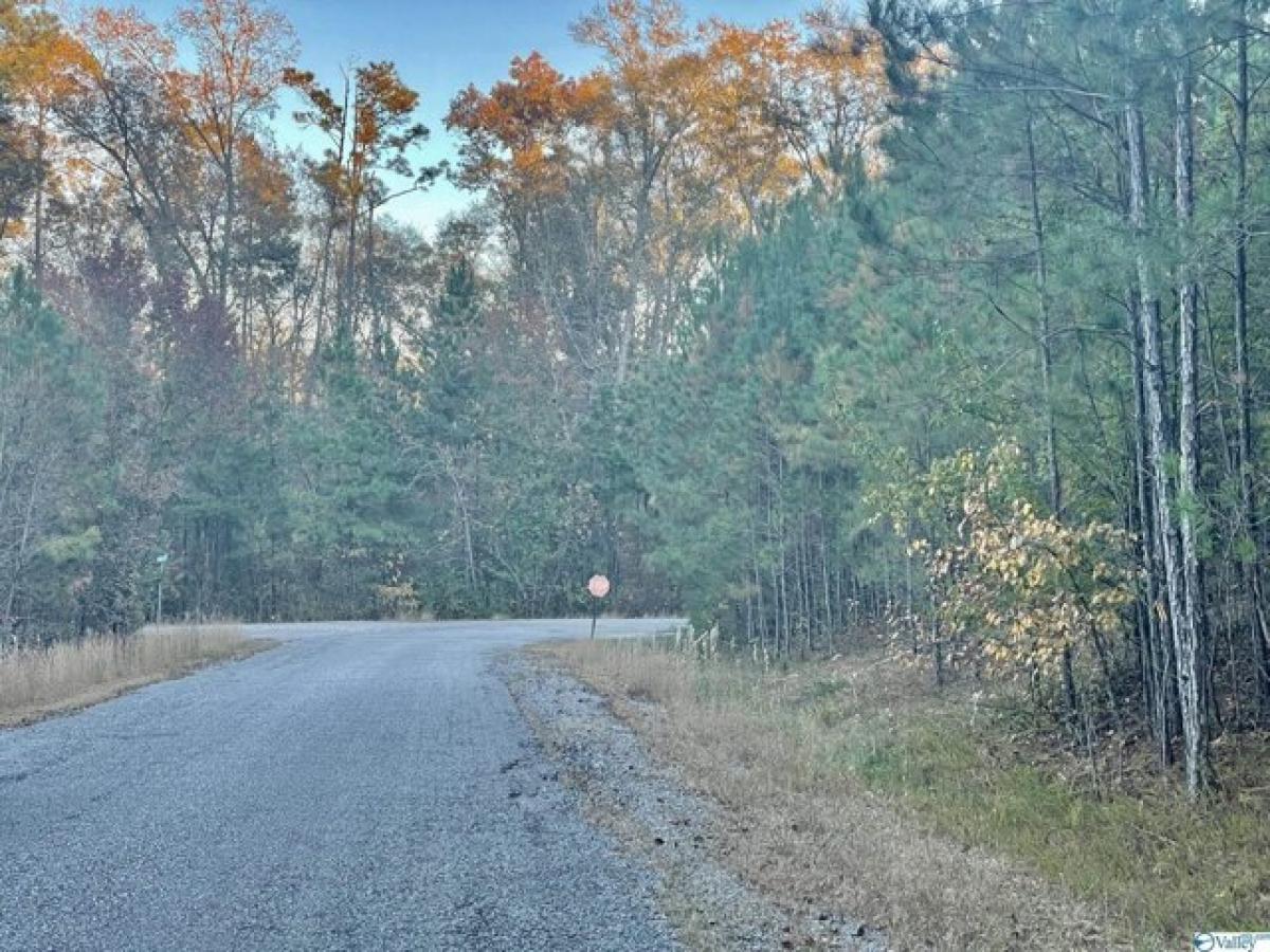 Picture of Residential Land For Sale in Glencoe, Alabama, United States