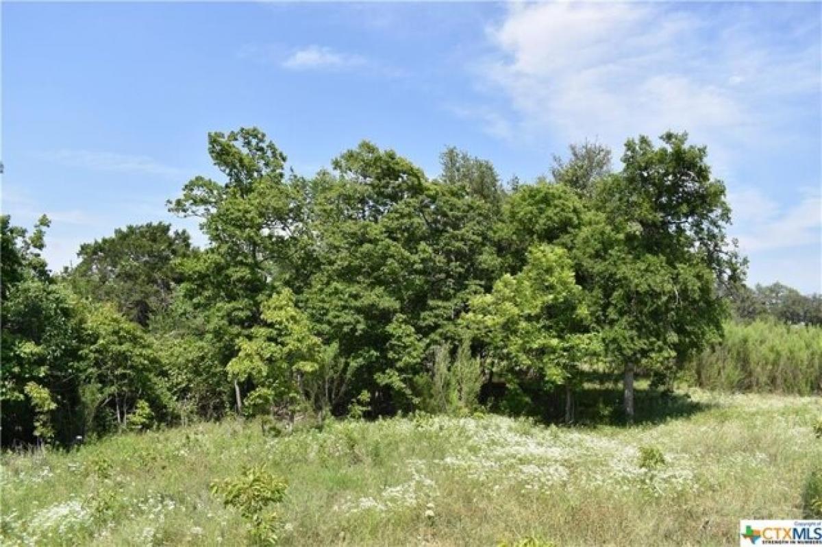 Picture of Residential Land For Sale in Bertram, Texas, United States