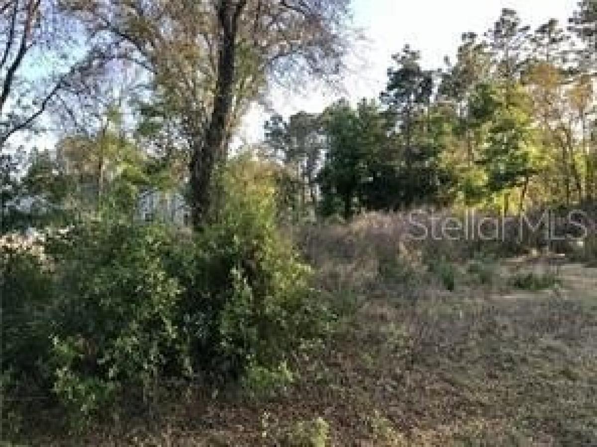 Picture of Residential Land For Sale in Summerfield, Florida, United States