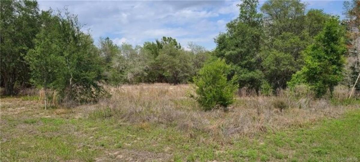 Picture of Residential Land For Sale in Hernando, Florida, United States