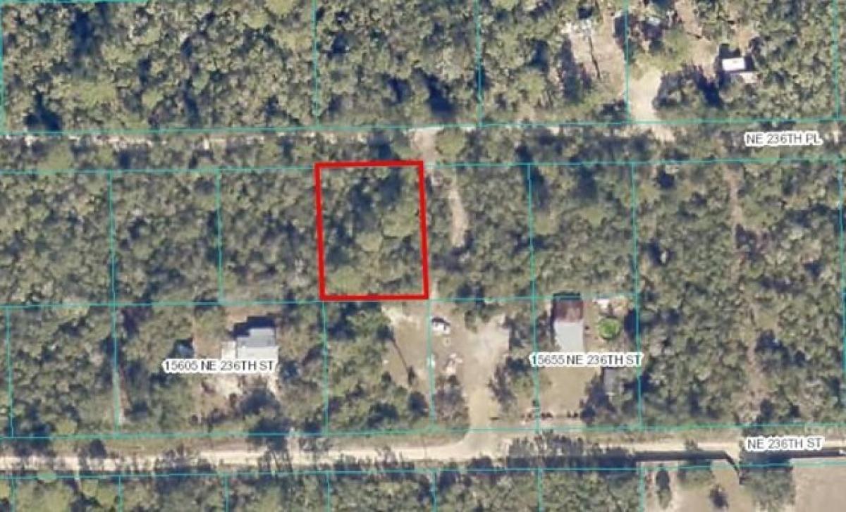 Picture of Residential Land For Sale in Fort Mccoy, Florida, United States