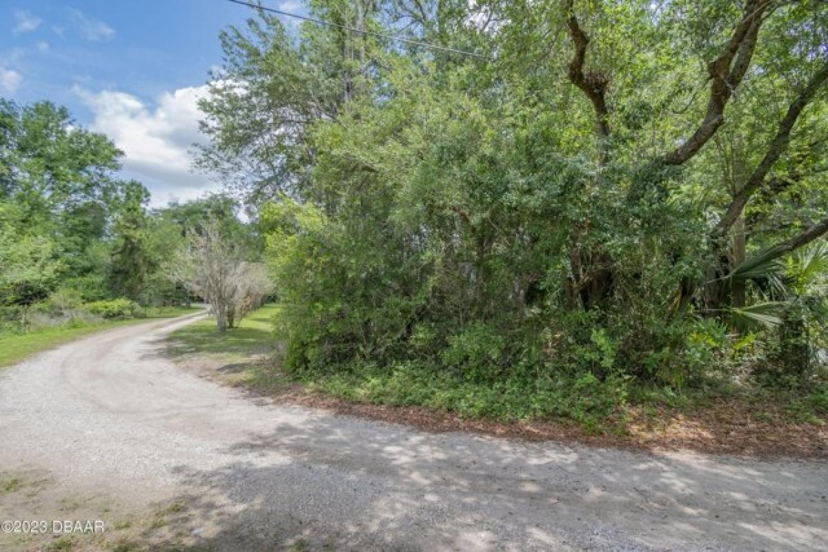 Picture of Residential Land For Sale in Osteen, Florida, United States