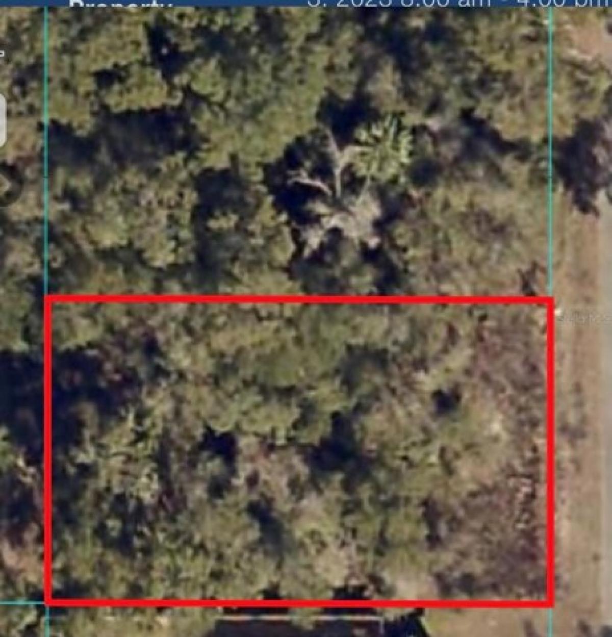 Picture of Residential Land For Sale in Summerfield, Florida, United States