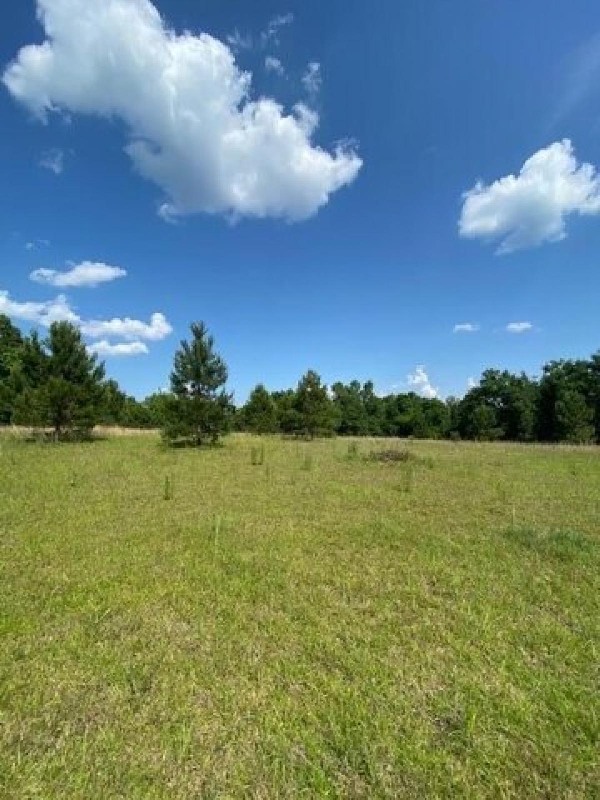 Picture of Residential Land For Sale in Bainbridge, Georgia, United States