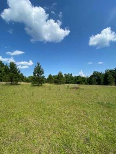 Residential Land For Sale in Bainbridge, Georgia