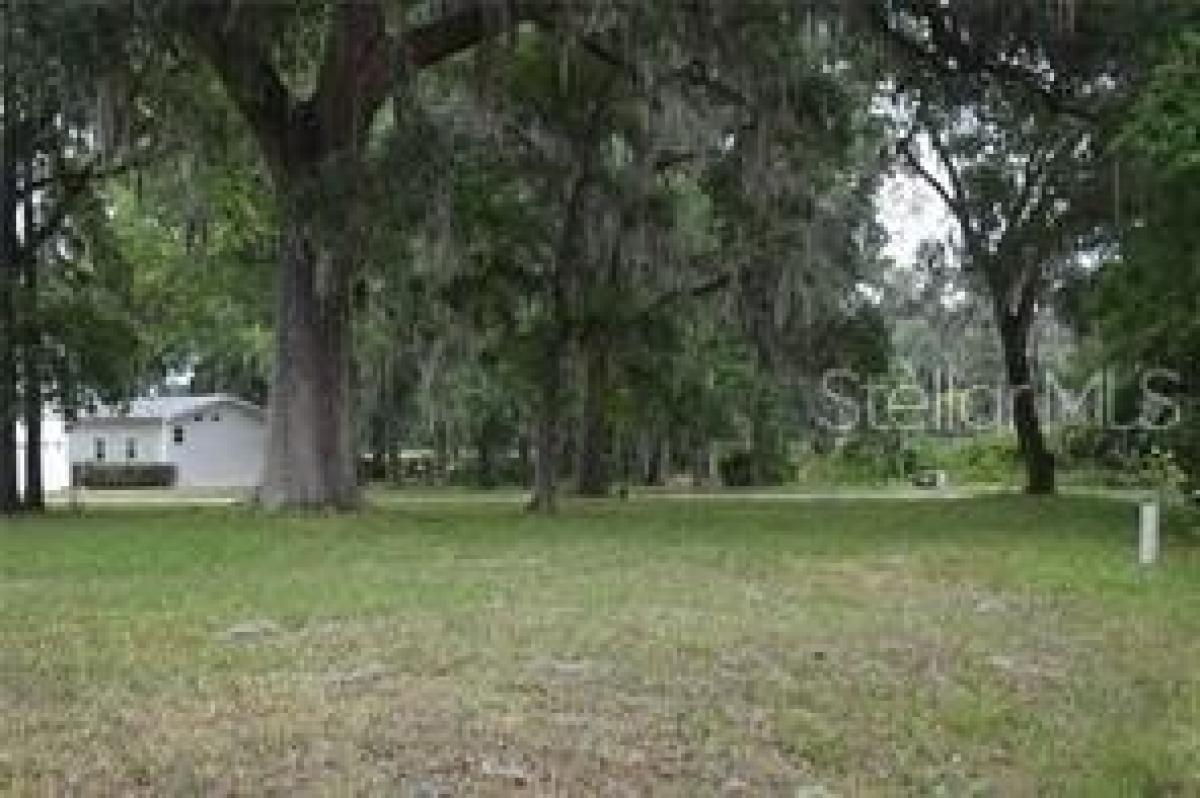 Picture of Residential Land For Sale in Wildwood, Florida, United States