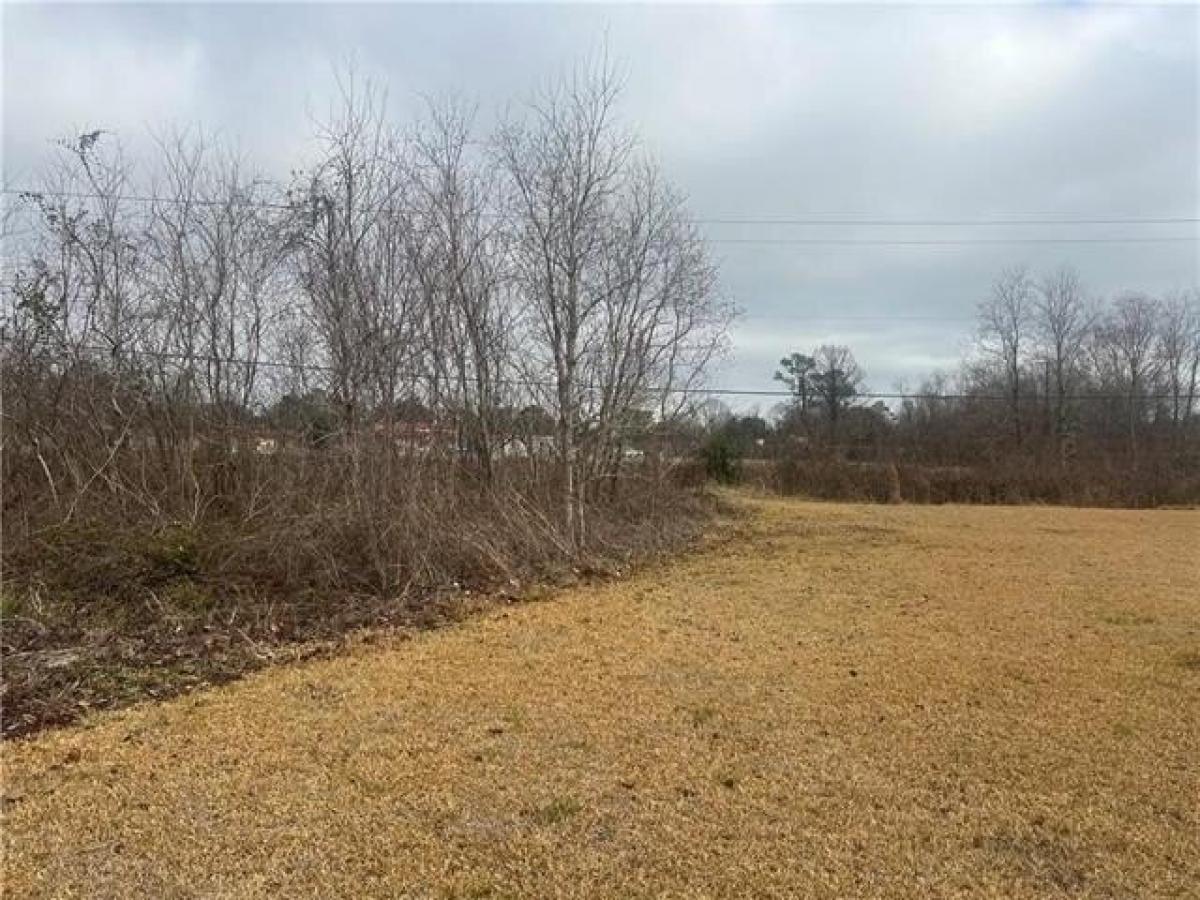 Picture of Residential Land For Sale in Alexandria, Louisiana, United States