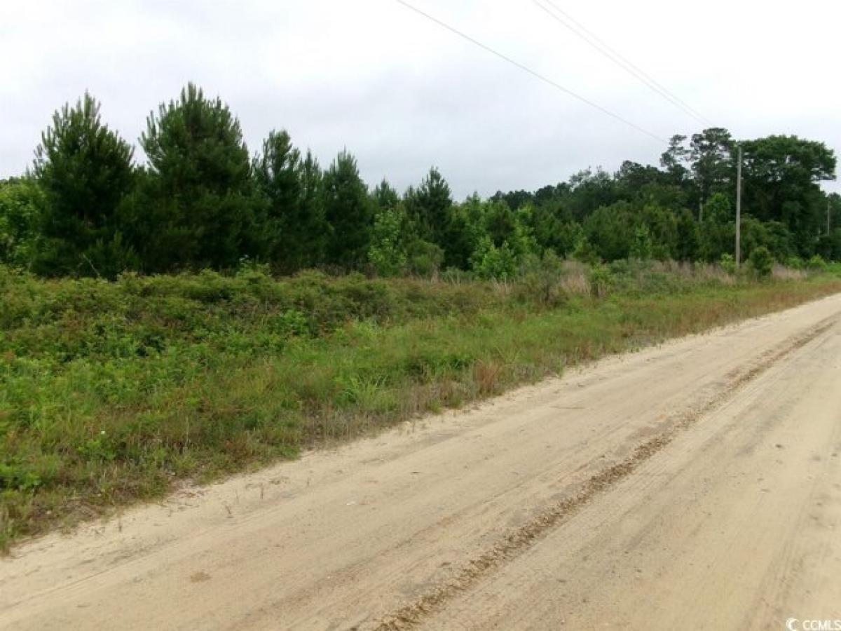 Picture of Residential Land For Sale in Mullins, South Carolina, United States