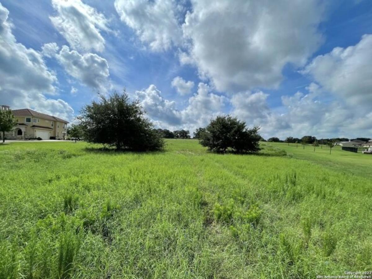 Picture of Residential Land For Sale in Floresville, Texas, United States