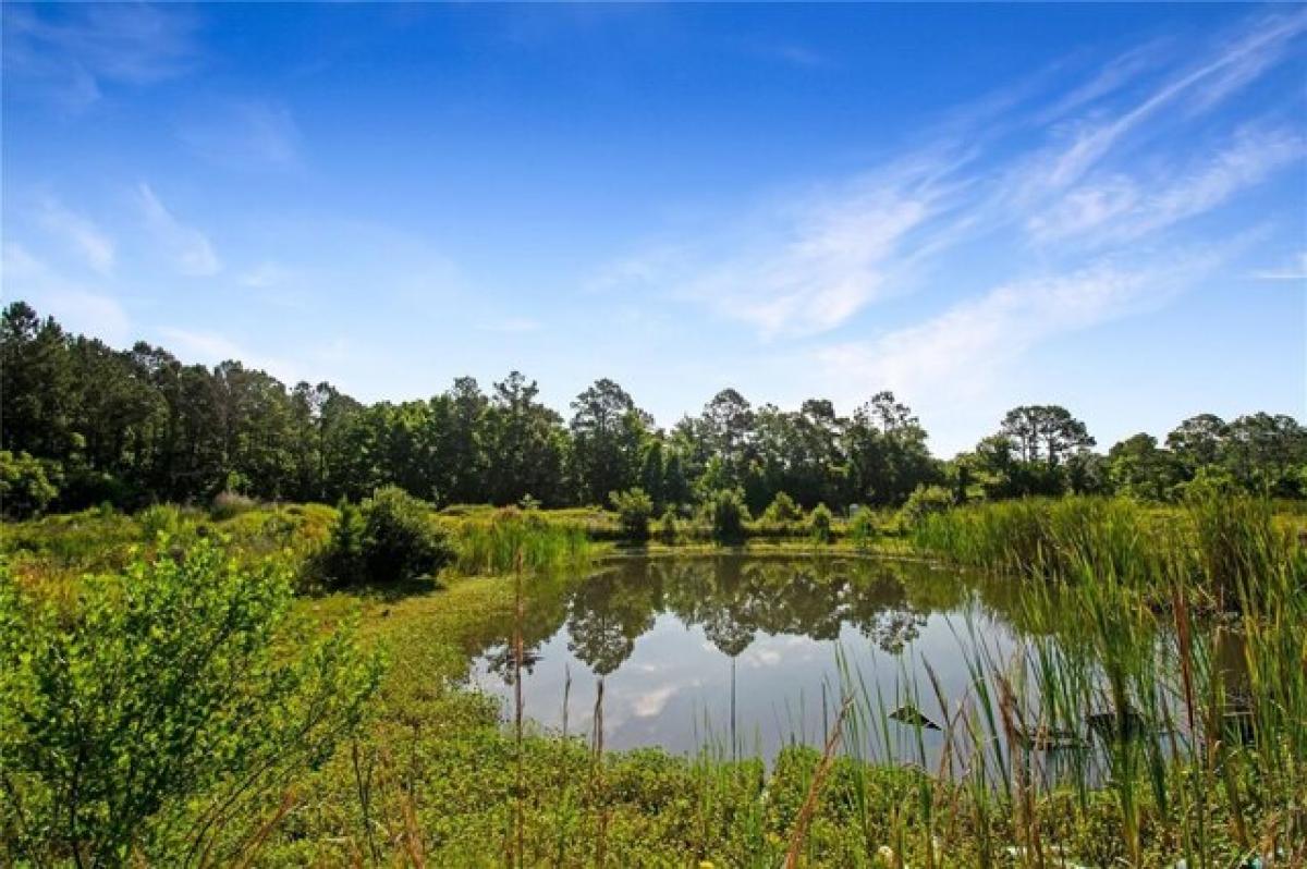 Picture of Residential Land For Sale in Elkton, Florida, United States