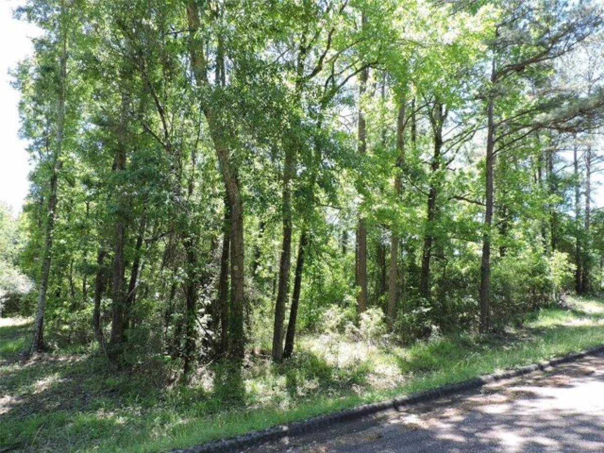 Picture of Residential Land For Sale in Greenville, Alabama, United States