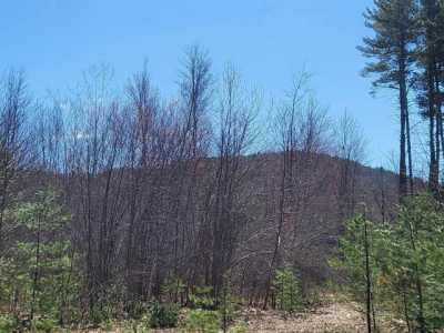 Residential Land For Sale in Effingham, New Hampshire