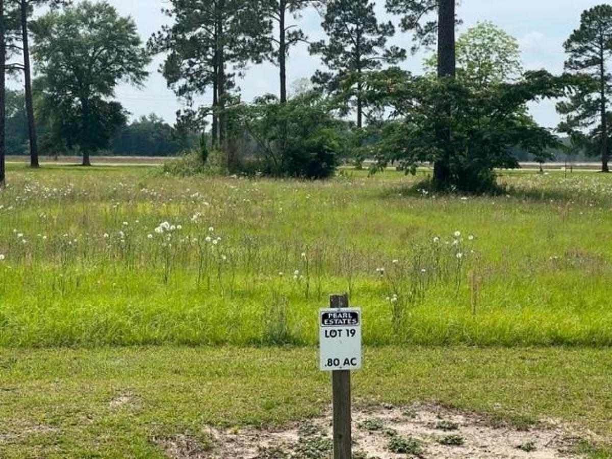 Picture of Residential Land For Sale in Willacoochee, Georgia, United States