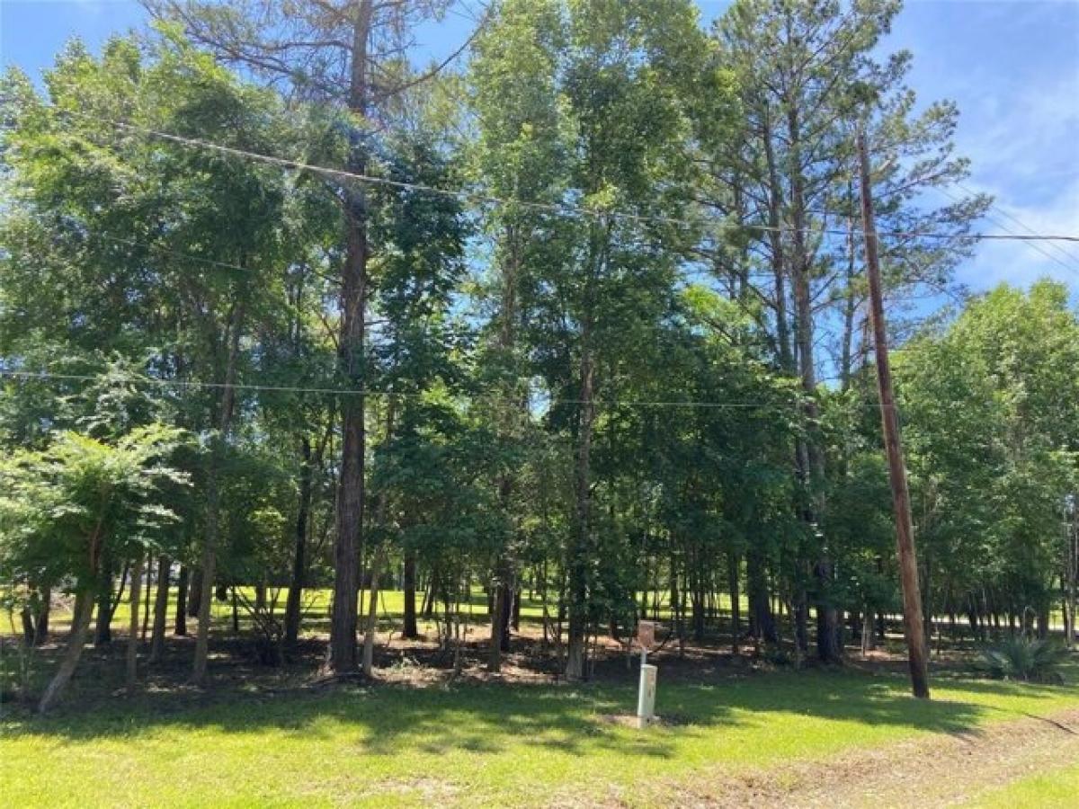 Picture of Home For Sale in Trinity, Texas, United States