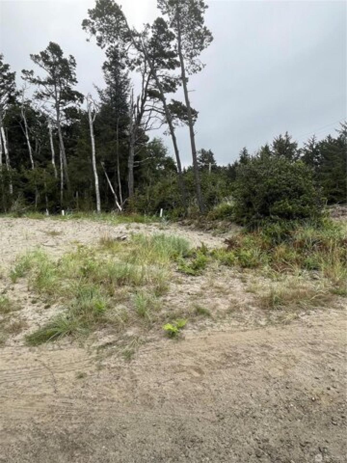 Picture of Residential Land For Sale in Ocean Park, Washington, United States