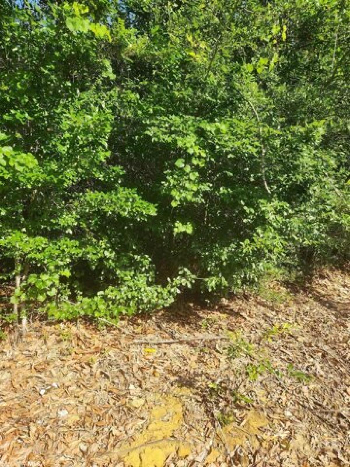 Picture of Residential Land For Sale in Bay Minette, Alabama, United States