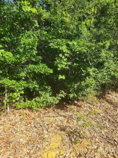 Residential Land For Sale in 