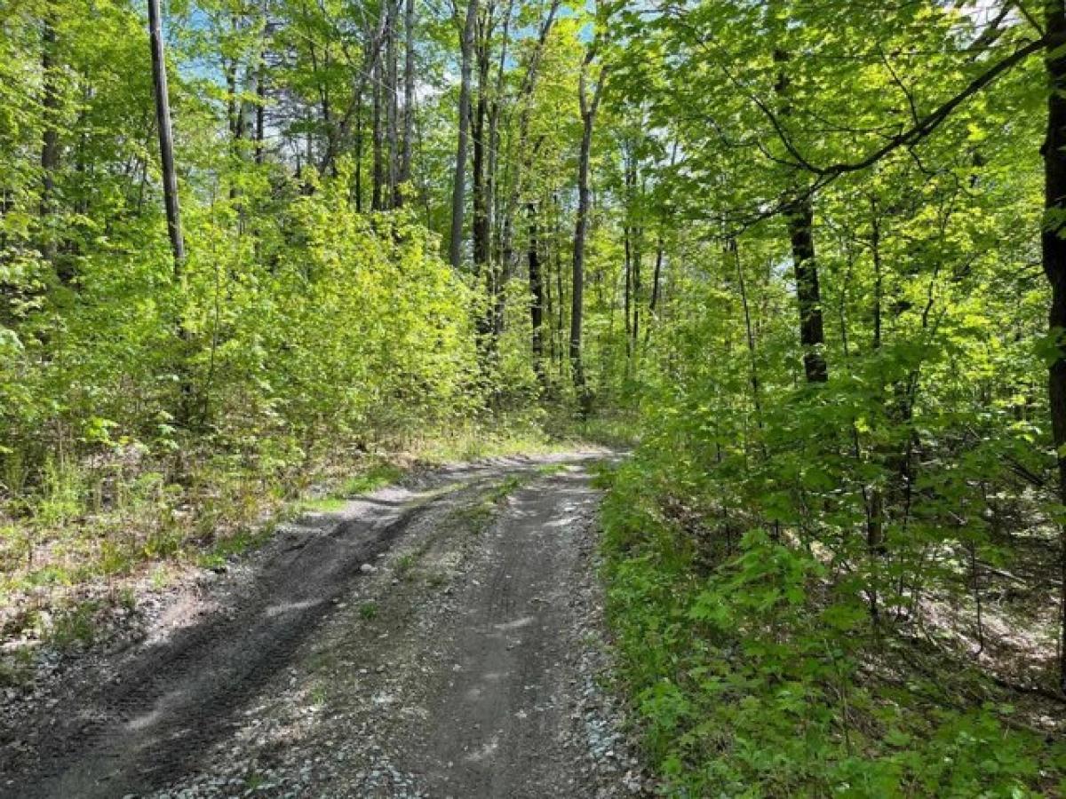 Picture of Residential Land For Sale in Bakersfield, Vermont, United States