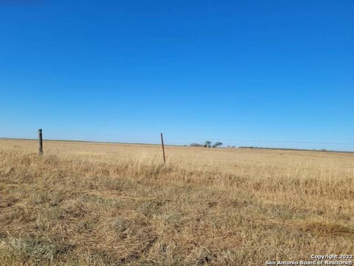 Picture of Residential Land For Sale in Floresville, Texas, United States