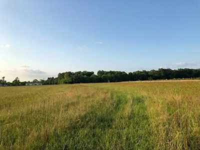 Residential Land For Sale in 