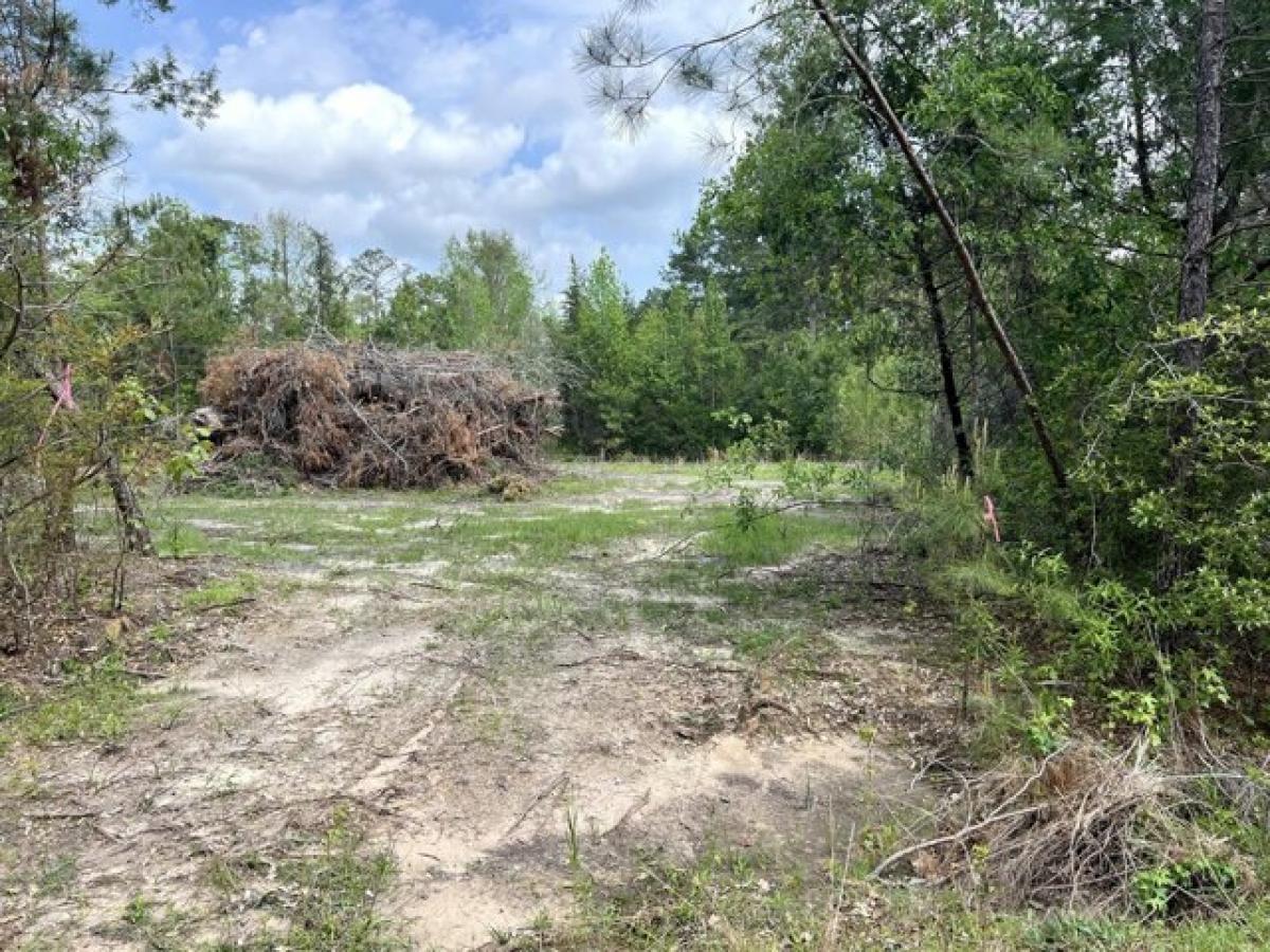 Picture of Residential Land For Sale in Deridder, Louisiana, United States