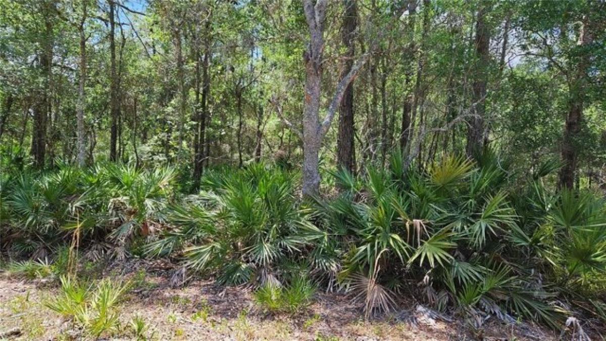 Picture of Residential Land For Sale in Crescent City, Florida, United States