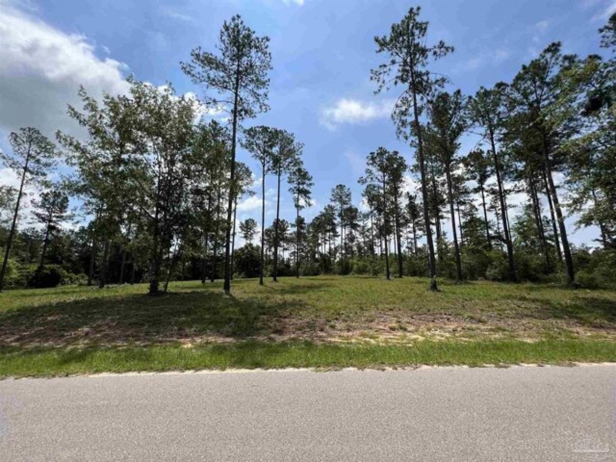 Picture of Residential Land For Sale in Pace, Florida, United States