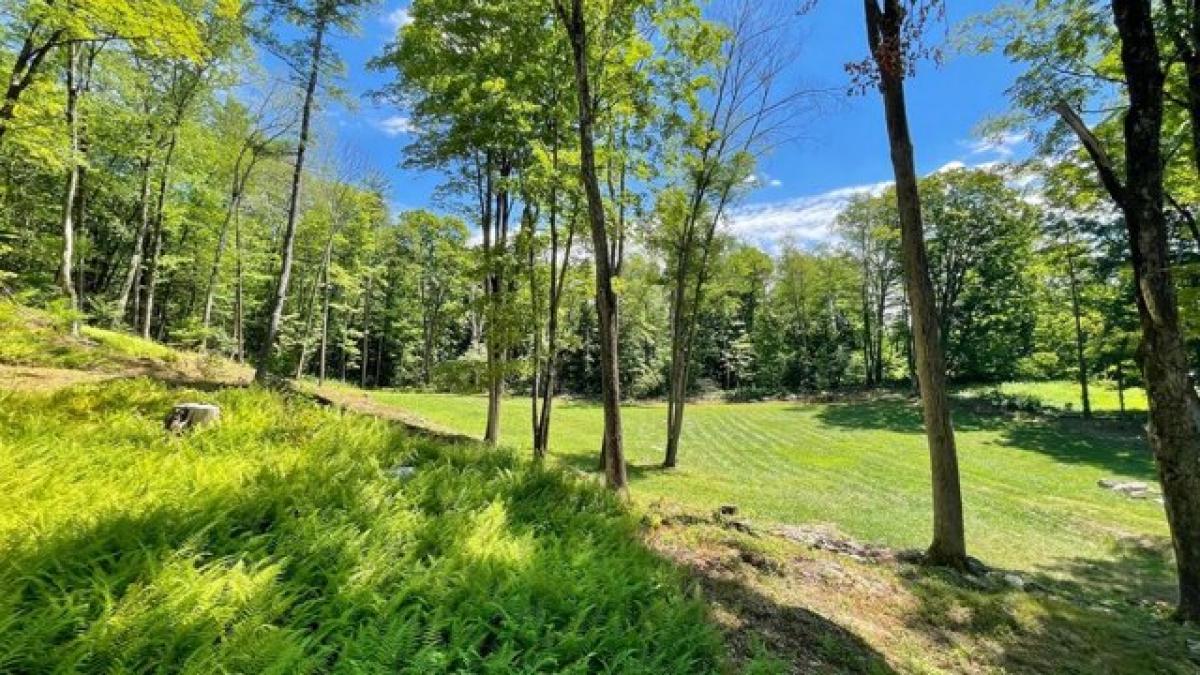 Picture of Residential Land For Sale in West Stockbridge, Massachusetts, United States