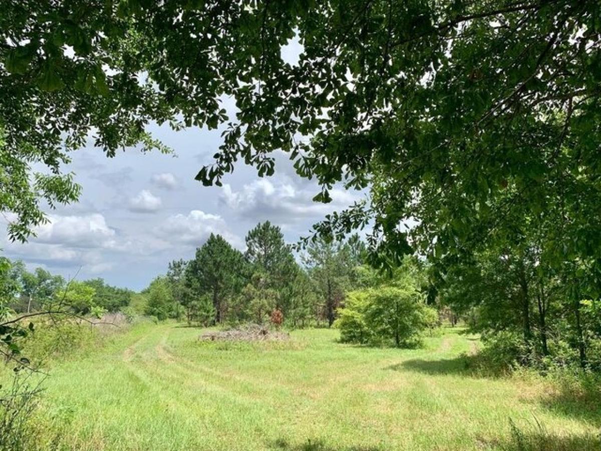 Picture of Residential Land For Sale in Headland, Alabama, United States