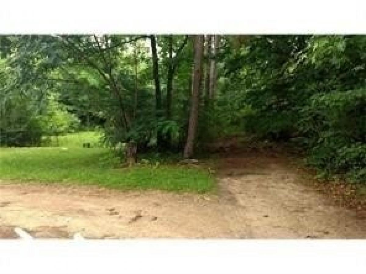 Picture of Residential Land For Sale in Pollock, Louisiana, United States