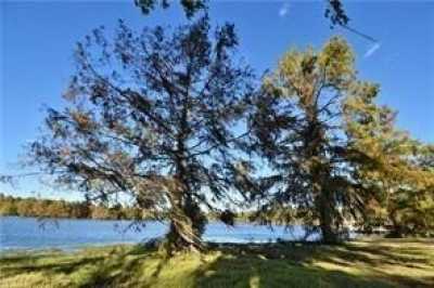 Residential Land For Sale in Montgomery, Louisiana